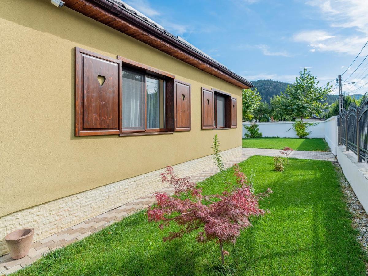 Casa Saraste Hotel Rîşnov Exterior foto